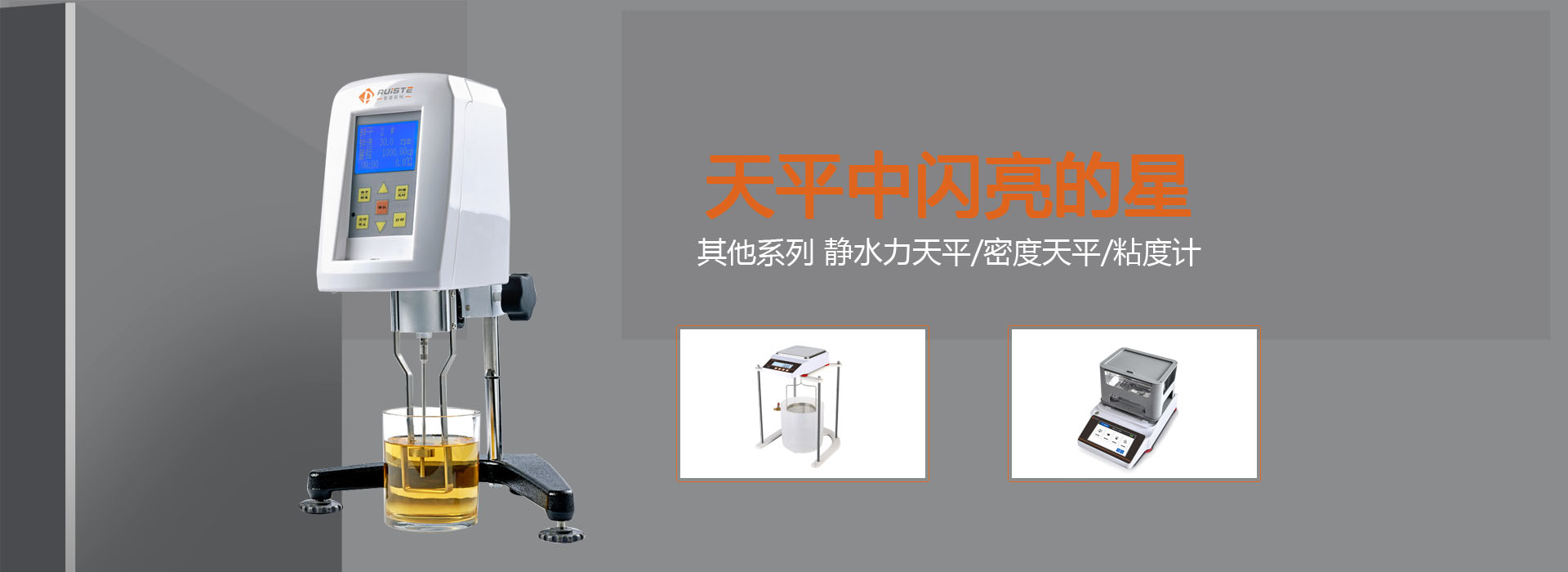 普睿斯特（安徽）测控技术有限公司-分析天平精密天平，密度天平，卤素水分测定仪、计重秤，计数秤，电子台秤-Iklay